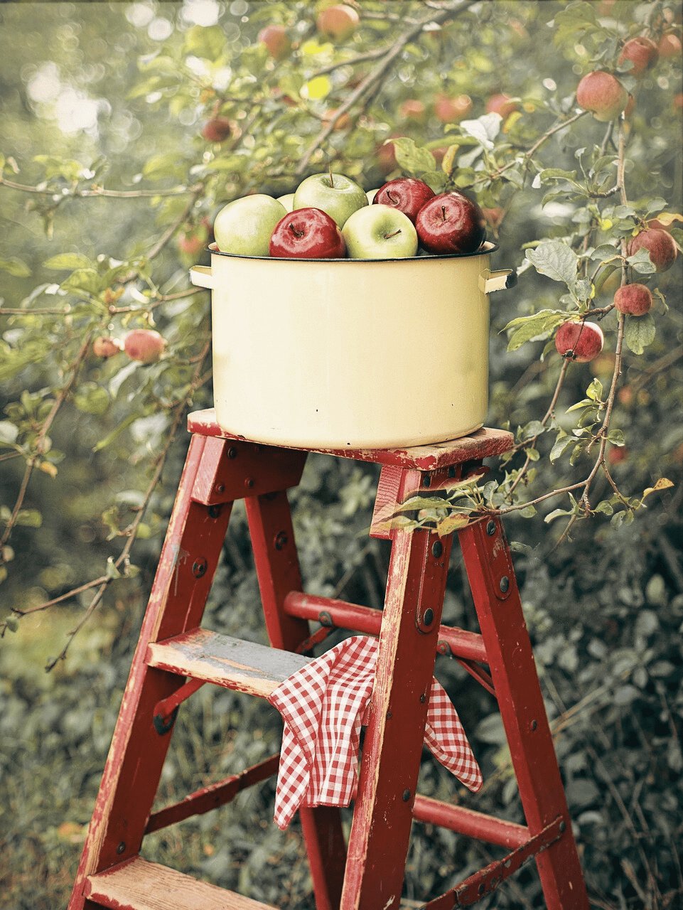 Obstschilder