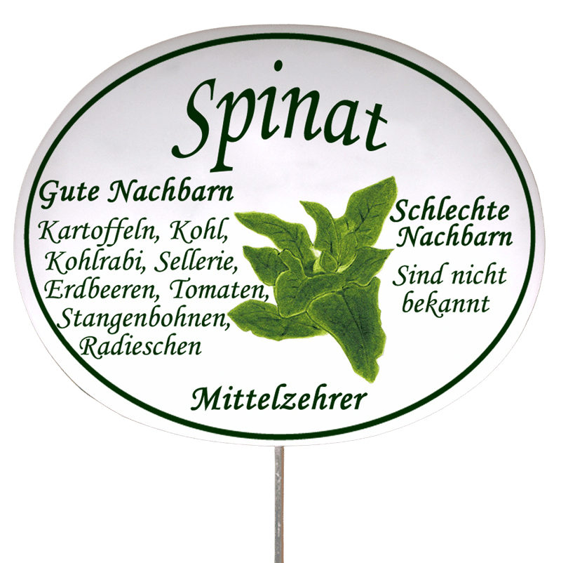 Gemüseschild zum Stecken (verschiedene Motive)