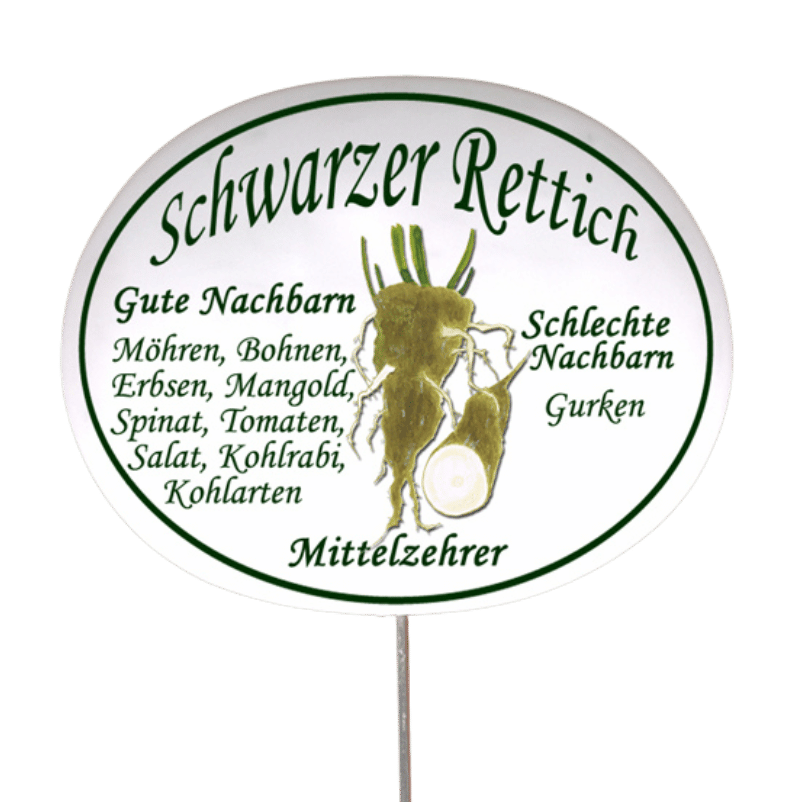 Gemüseschild zum Stecken (verschiedene Motive)