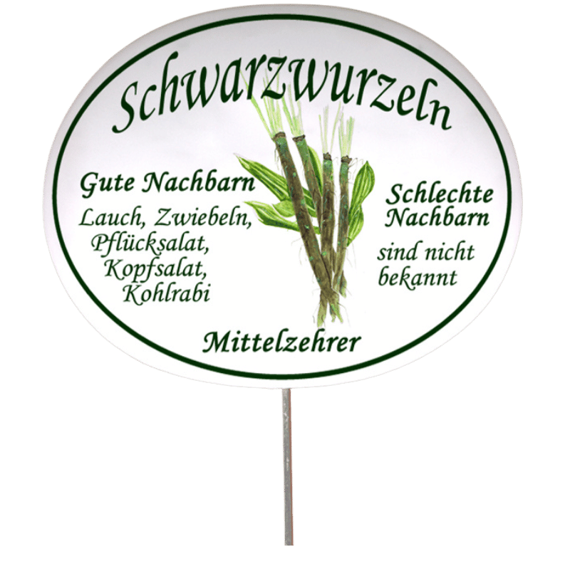 Gemüseschild zum Stecken (verschiedene Motive)