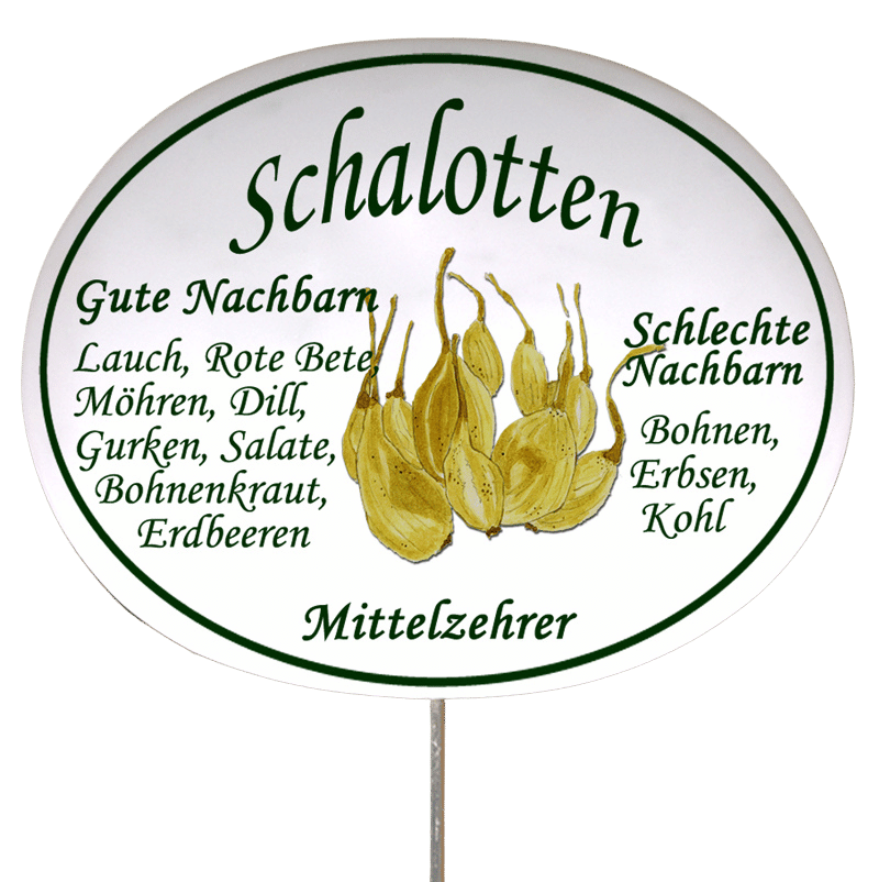 Gemüseschild zum Stecken (verschiedene Motive)