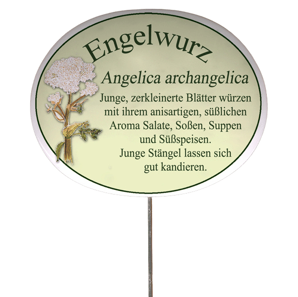 Kräuterschild mit Beschreibung (verschiedene Motive)