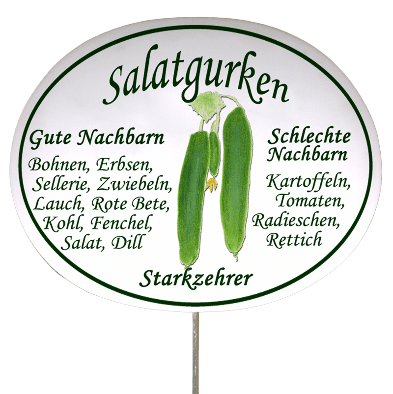 Gemüseschild zum Stecken (verschiedene Motive)