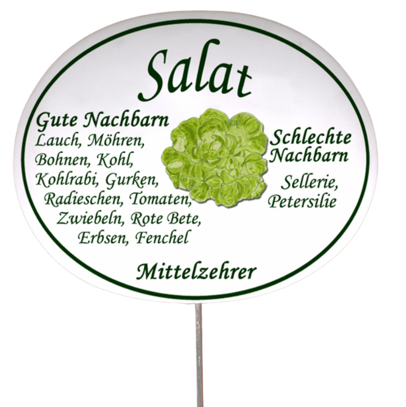 Gemüseschild zum Stecken (verschiedene Motive)