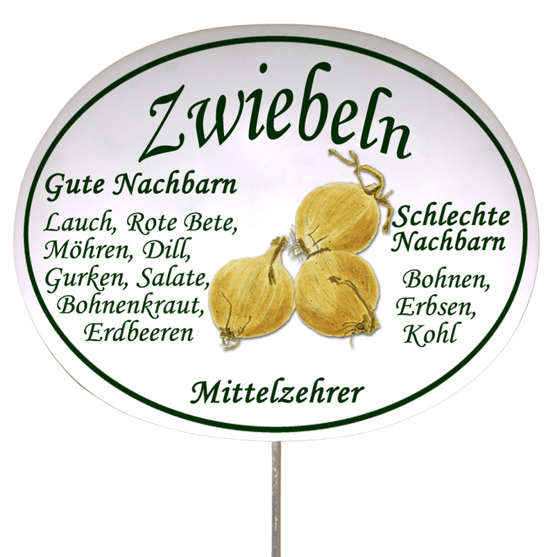 Gemüseschild zum Stecken (verschiedene Motive)