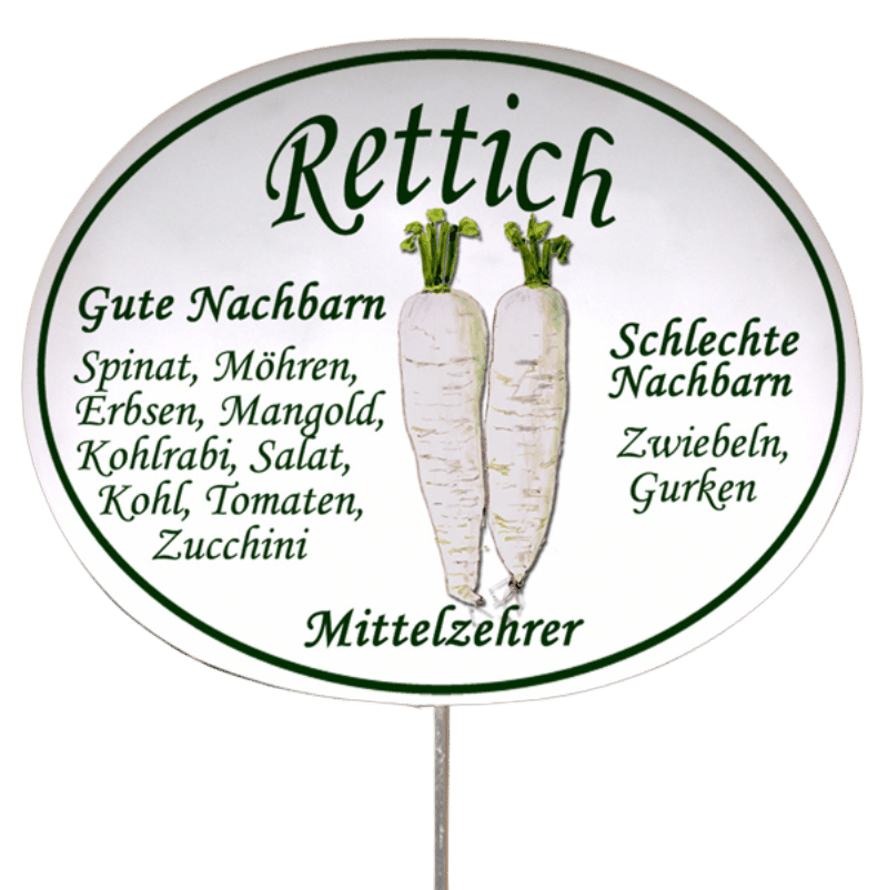 Gemüseschild zum Stecken (verschiedene Motive)