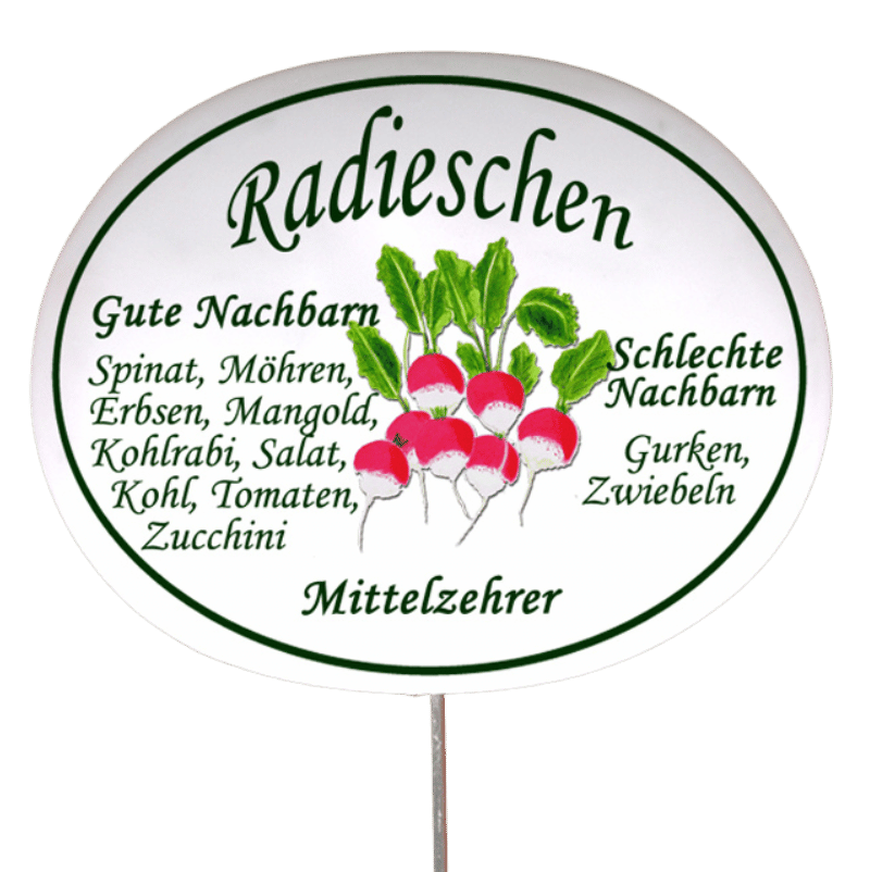 Gemüseschild zum Stecken (verschiedene Motive)