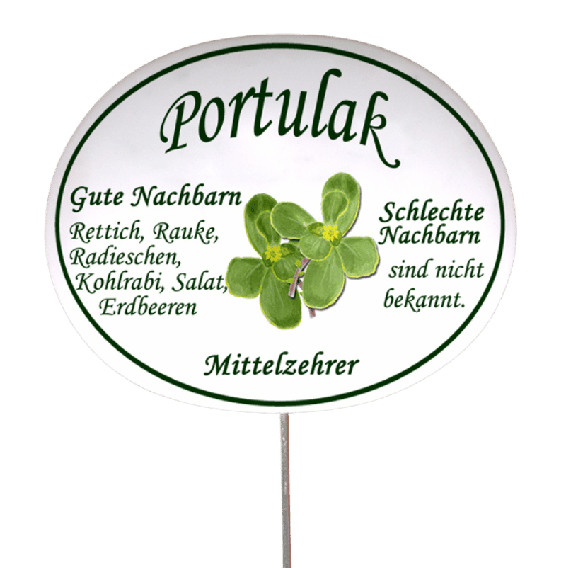 Gemüseschild zum Stecken (verschiedene Motive)