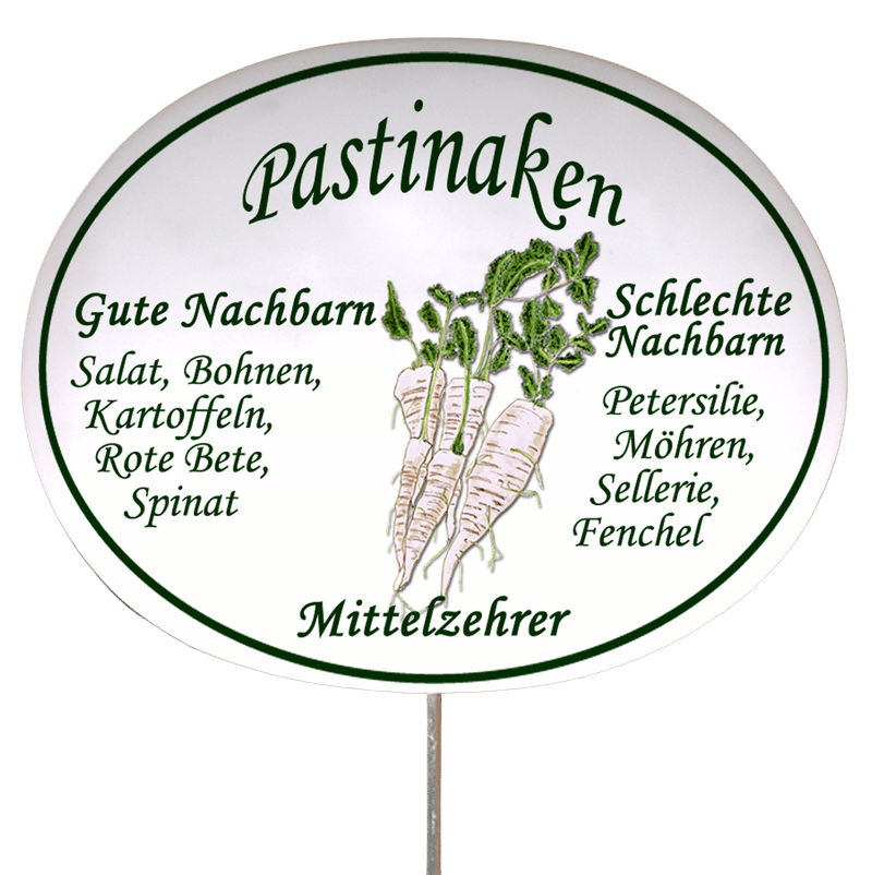 Gemüseschild zum Stecken (verschiedene Motive)