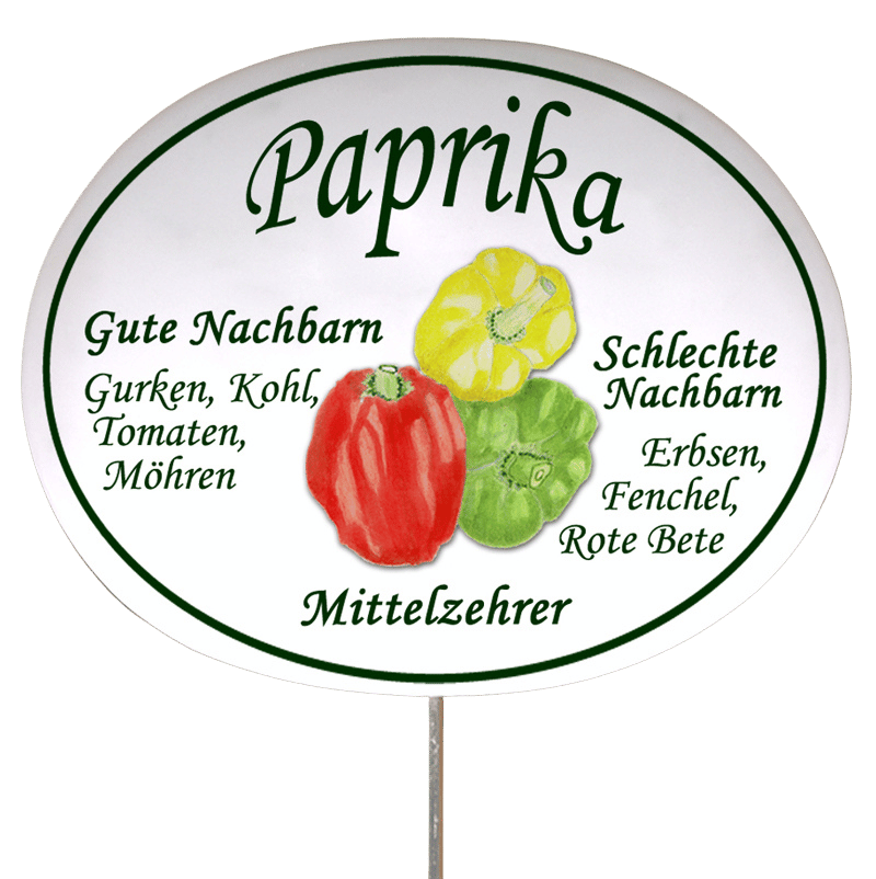 Gemüseschild zum Stecken (verschiedene Motive)
