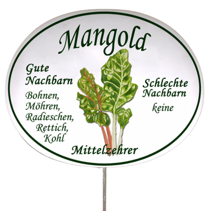 Gemüseschild zum Stecken (verschiedene Motive)