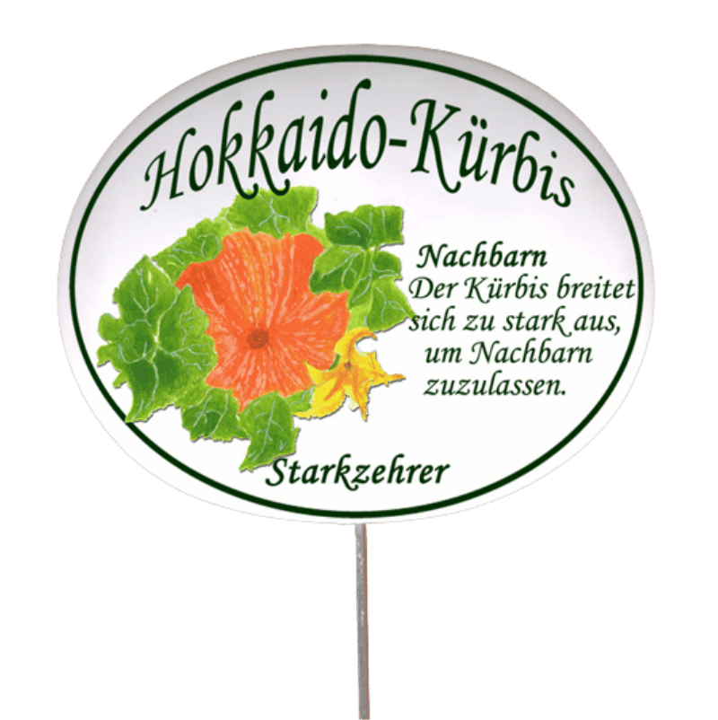 Gemüseschild zum Stecken (verschiedene Motive)