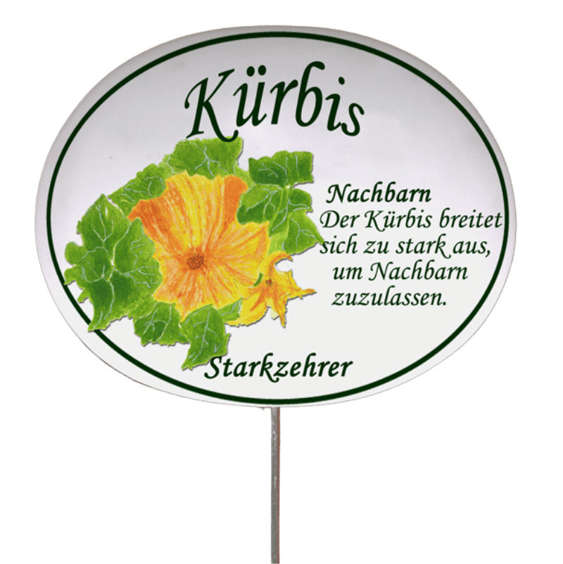 Gemüseschild zum Stecken (verschiedene Motive)