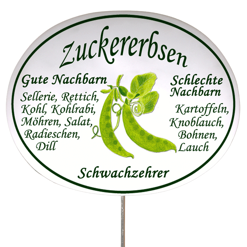 Gemüseschild zum Stecken (verschiedene Motive)