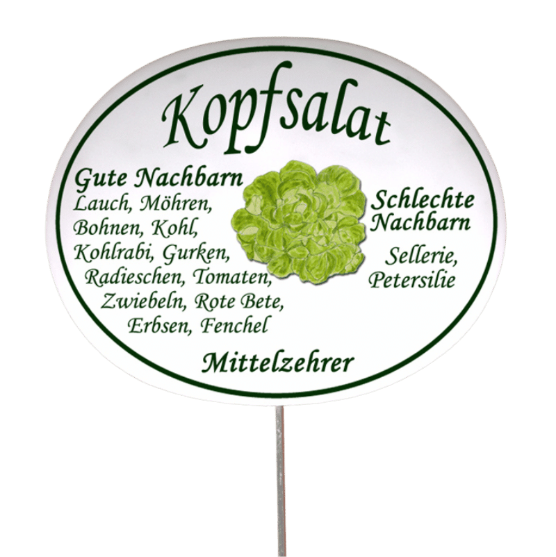 Gemüseschild zum Stecken (verschiedene Motive)
