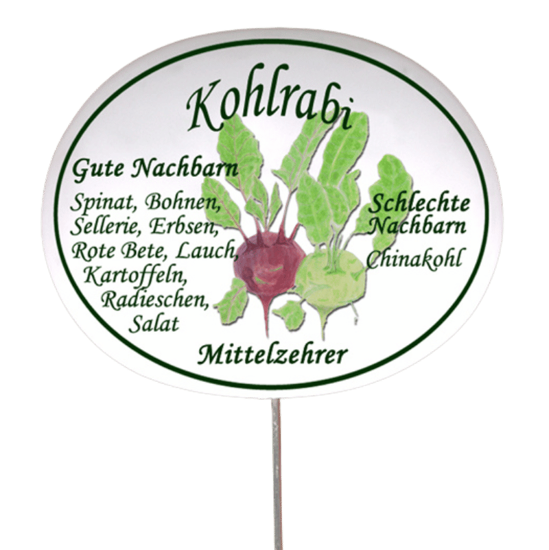 Gemüseschild zum Stecken (verschiedene Motive)