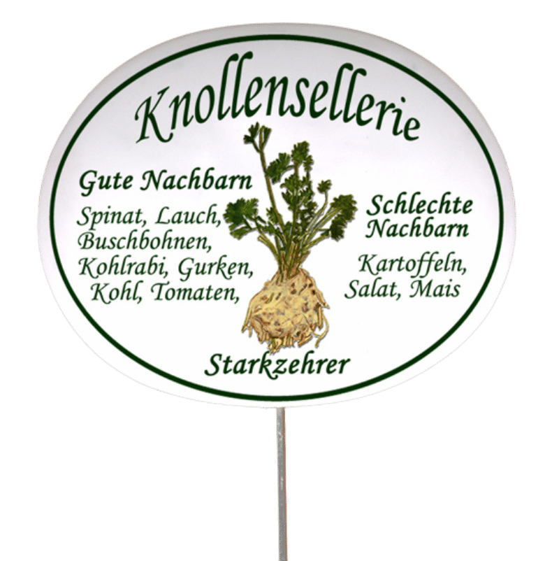Gemüseschild zum Stecken (verschiedene Motive)