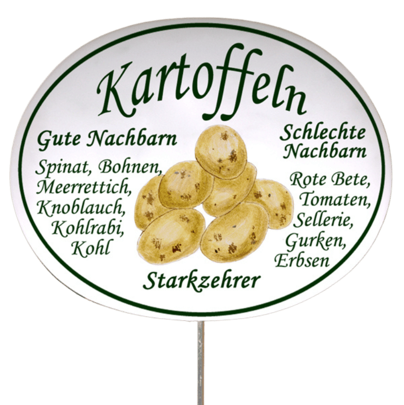 Gemüseschild zum Stecken (verschiedene Motive)
