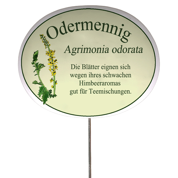 Kräuterschild mit Beschreibung (verschiedene Motive)