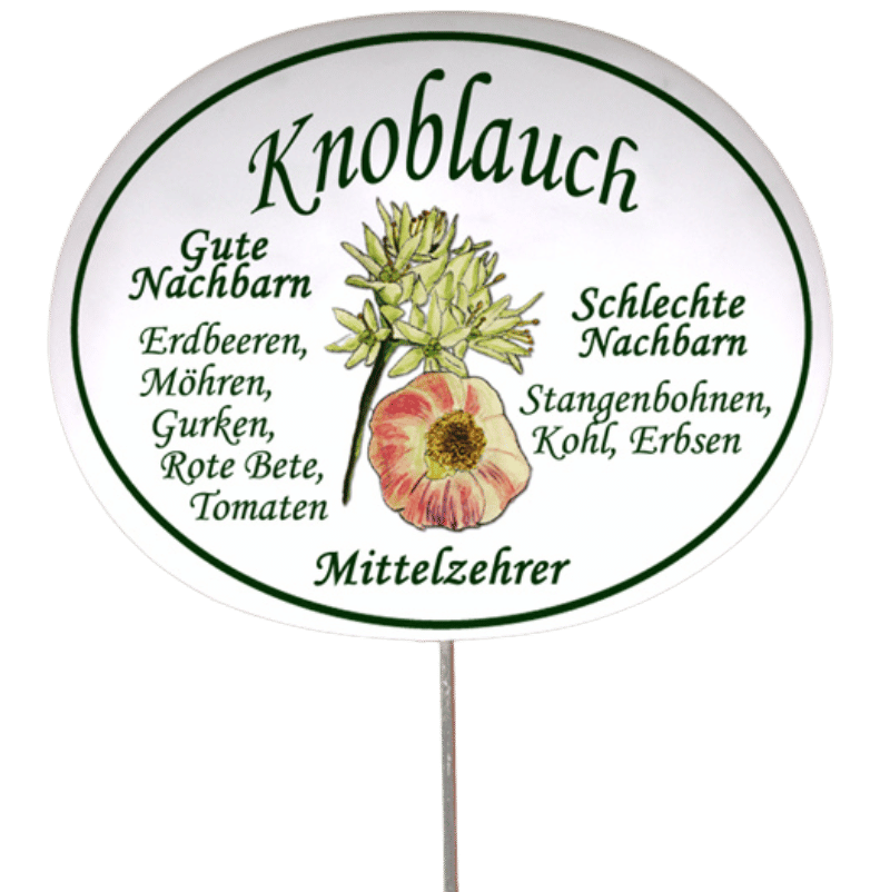 Gemüseschild zum Stecken (verschiedene Motive)