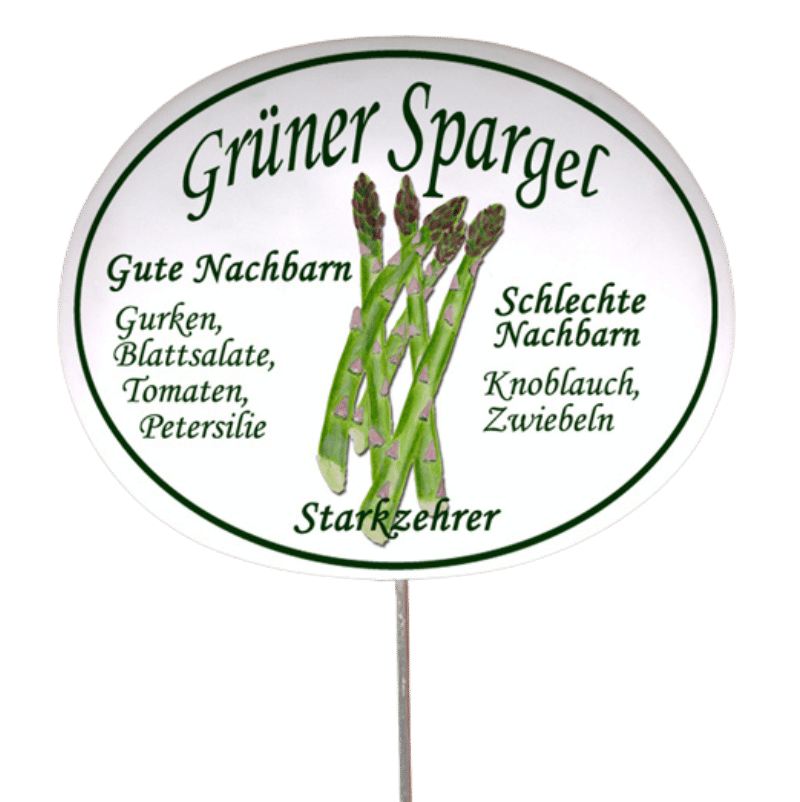 Gemüseschild zum Stecken (verschiedene Motive)
