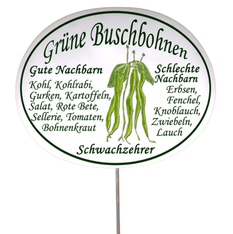 Gemüseschild zum Stecken (verschiedene Motive)