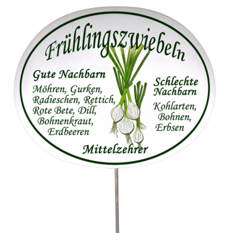 Gemüseschild zum Stecken (verschiedene Motive)