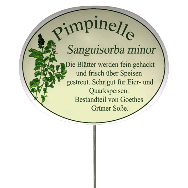 Kräuterschild mit Beschreibung (verschiedene Motive)