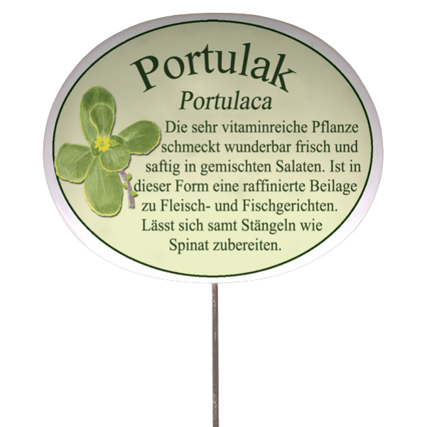 Kräuterschild mit Beschreibung (verschiedene Motive)