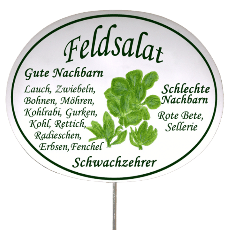 Gemüseschild zum Stecken (verschiedene Motive)