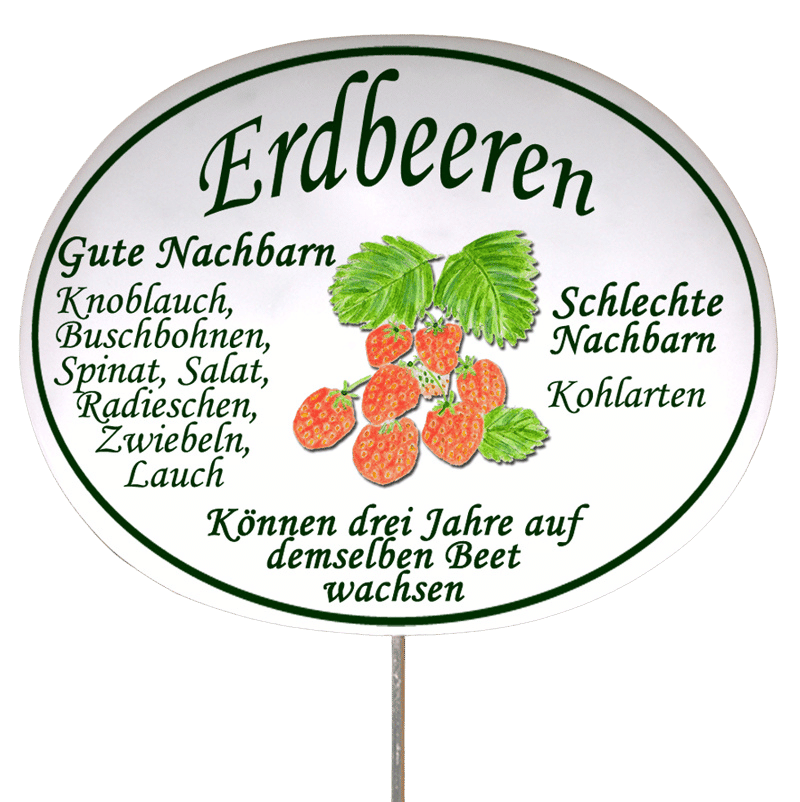 Gemüseschild zum Stecken (verschiedene Motive)