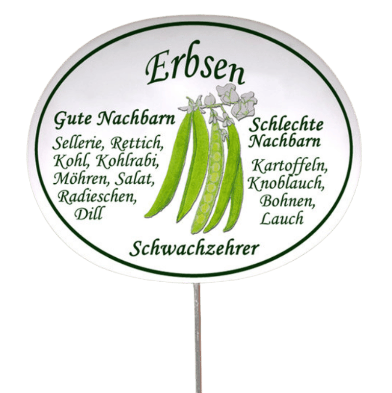 Gemüseschild zum Stecken (verschiedene Motive)