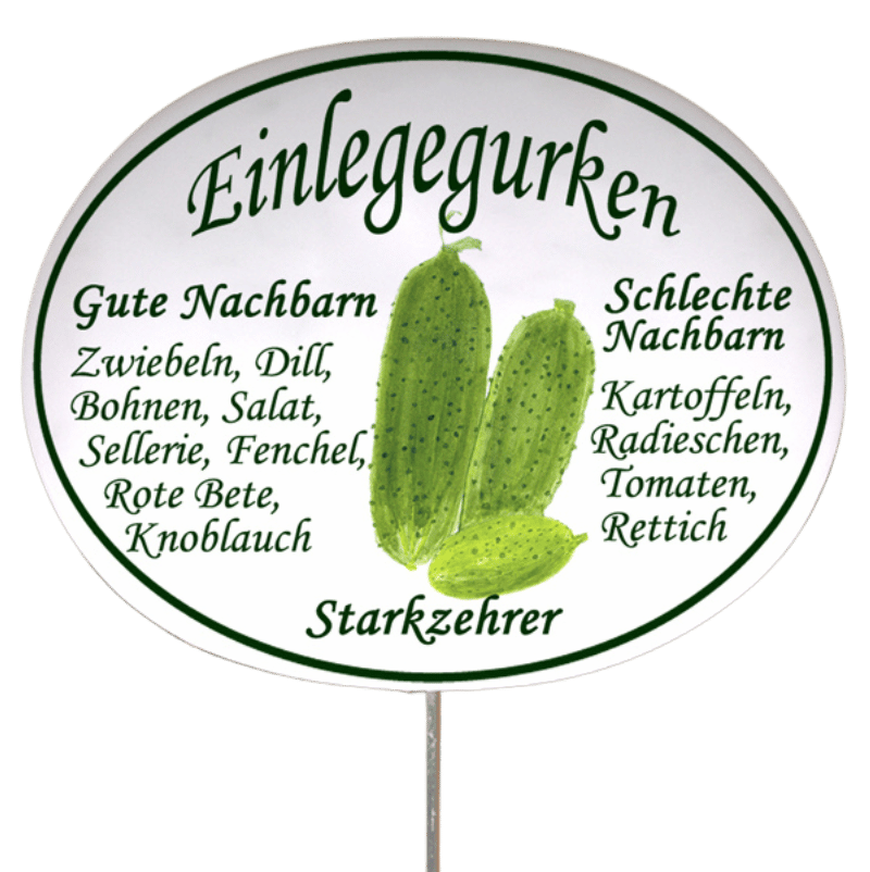 Gemüseschild zum Stecken (verschiedene Motive)