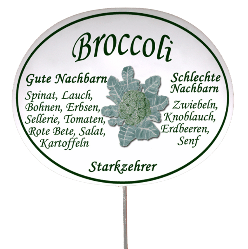 Gemüseschild zum Stecken (verschiedene Motive)
