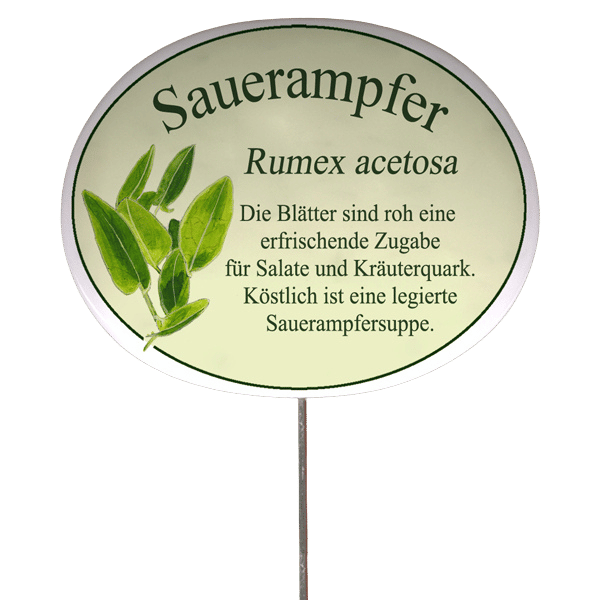 Kräuterschild mit Beschreibung (verschiedene Motive)