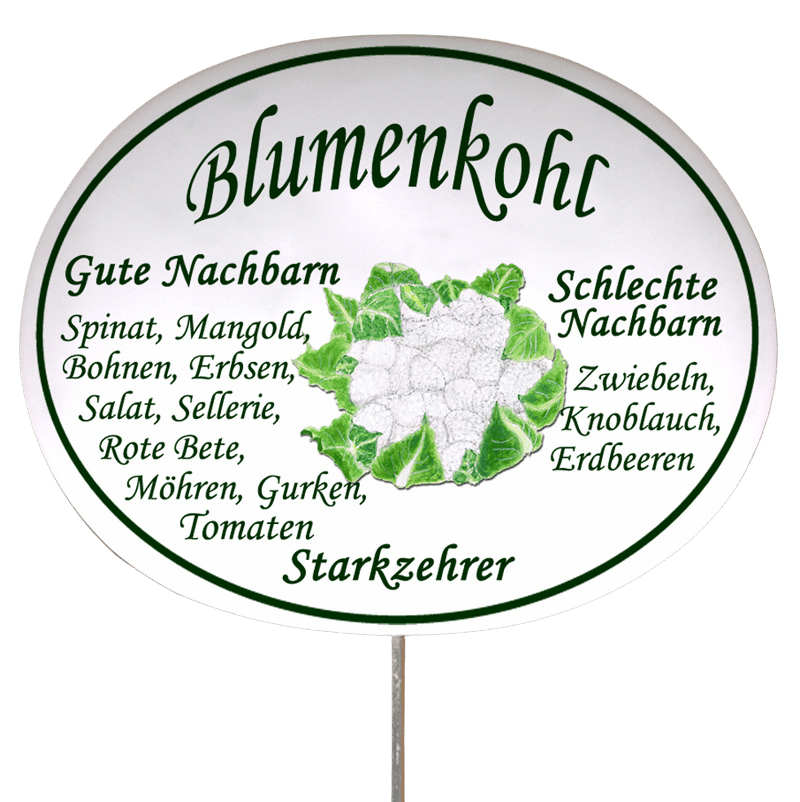 Gemüseschild zum Stecken (verschiedene Motive)