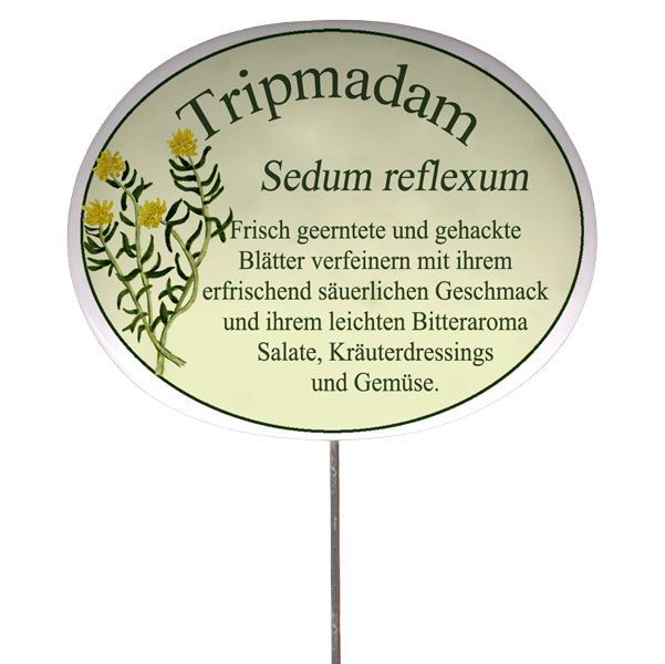 Kräuterschild mit Beschreibung (verschiedene Motive)
