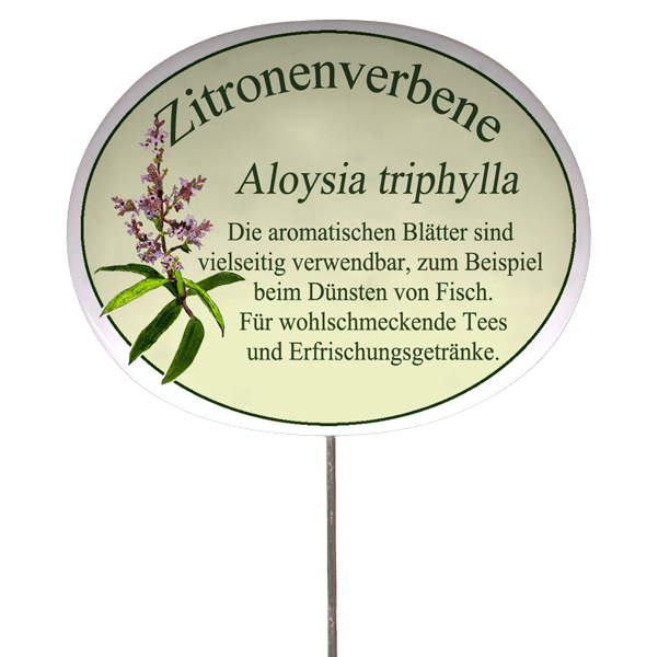 Kräuterschild mit Beschreibung (verschiedene Motive)