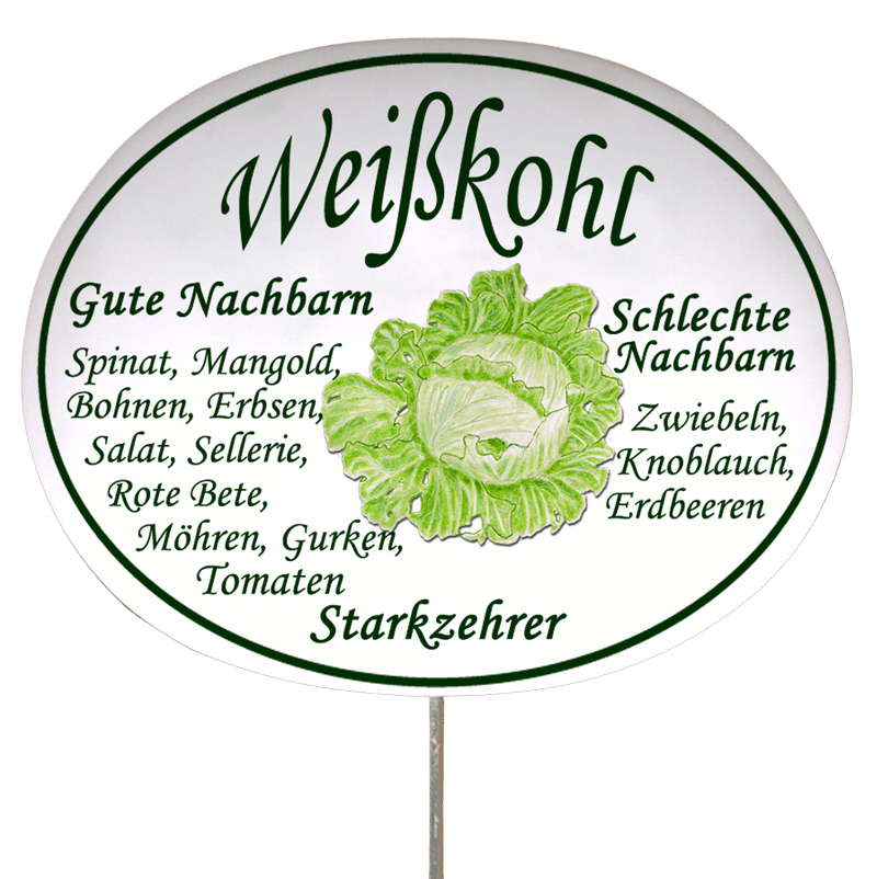 Gemüseschild zum Stecken (verschiedene Motive)