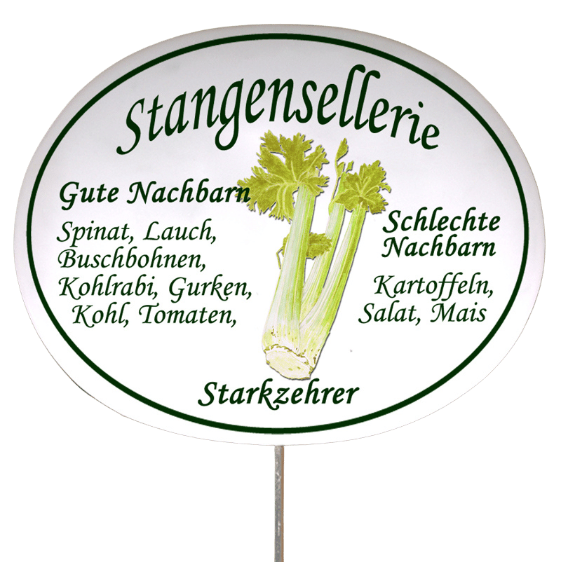 Gemüseschild zum Stecken (verschiedene Motive)