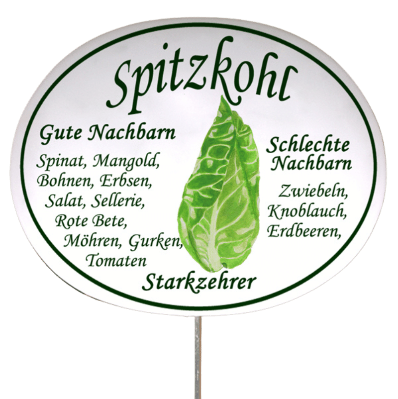 Gemüseschild zum Stecken (verschiedene Motive)