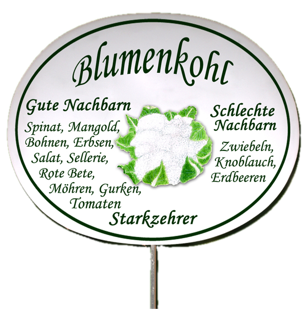 Gemüseschild zum Stecken (verschiedene Motive)