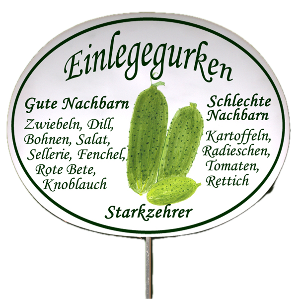 Gemüseschild zum Stecken (verschiedene Motive)