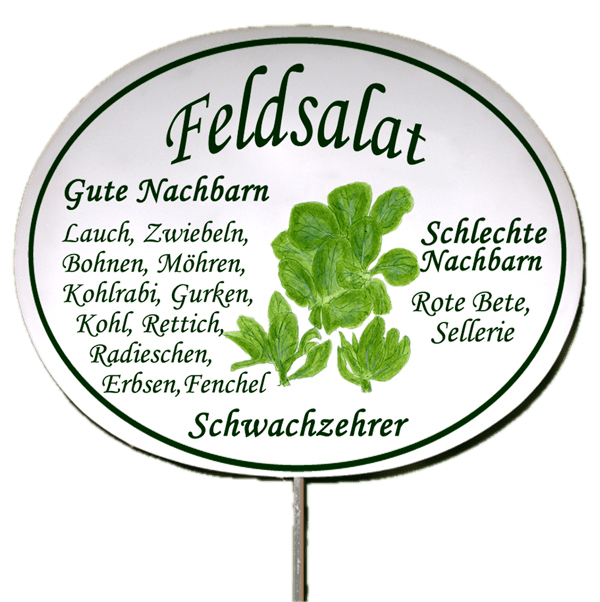 Gemüseschild zum Stecken (verschiedene Motive)