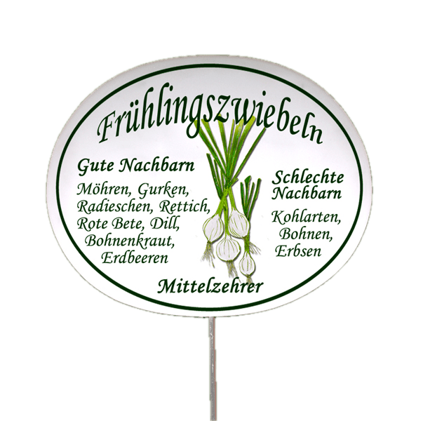 Gemüseschild zum Stecken (verschiedene Motive)