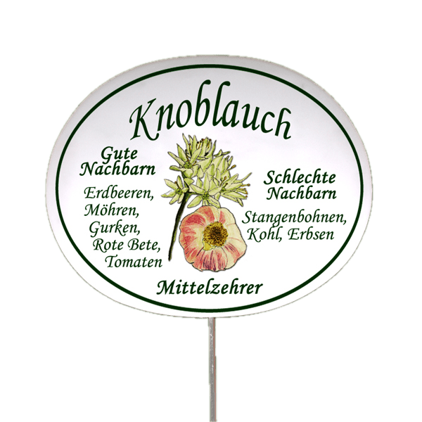 Gemüseschild zum Stecken (verschiedene Motive)