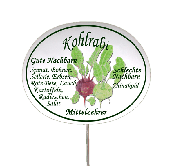 Gemüseschild zum Stecken (verschiedene Motive)
