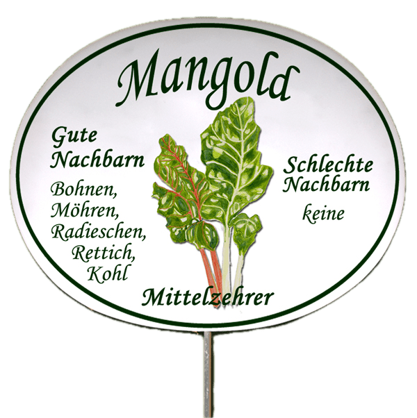 Gemüseschild zum Stecken (verschiedene Motive)