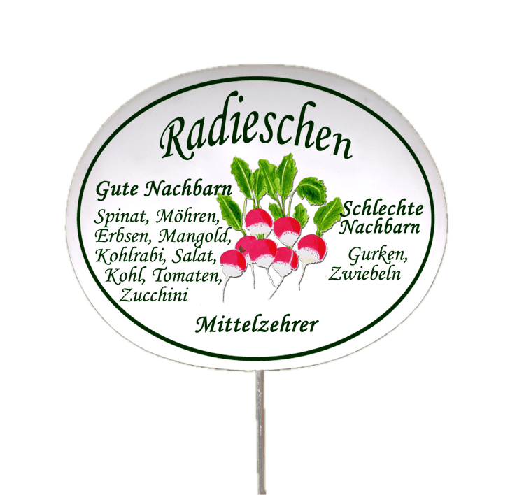 Gemüseschild zum Stecken (verschiedene Motive)