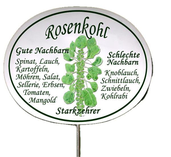Gemüseschild zum Stecken (verschiedene Motive)